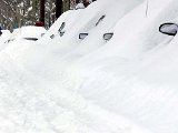 Wintersport humor